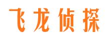 镜湖市侦探调查公司